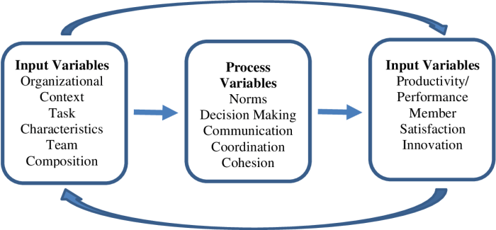 The input-process-output model of team effectiveness