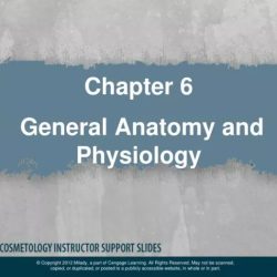 Milady chapter 6 general anatomy and physiology workbook answers