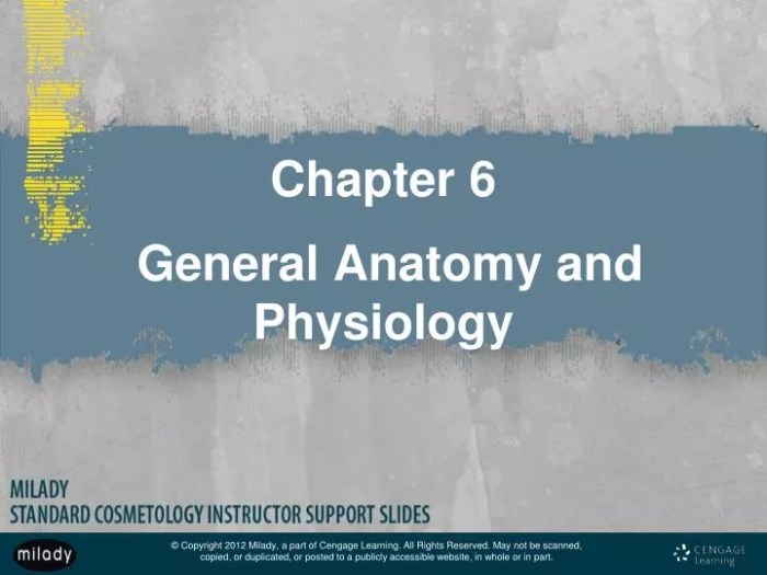 Milady chapter 6 general anatomy and physiology workbook answers