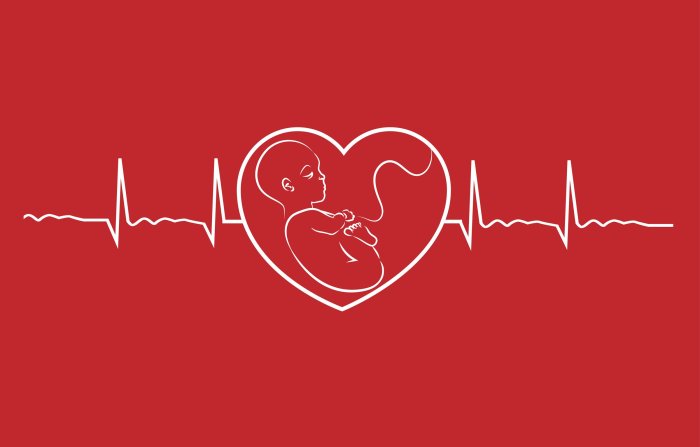 Awhonn intermediate fetal monitoring test answers