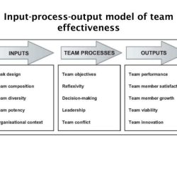 Input effectiveness protocol mcgrath inputs