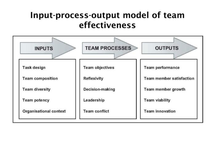 Input effectiveness protocol mcgrath inputs