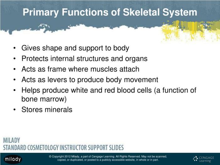 Milady chapter 6 general anatomy and physiology workbook answers